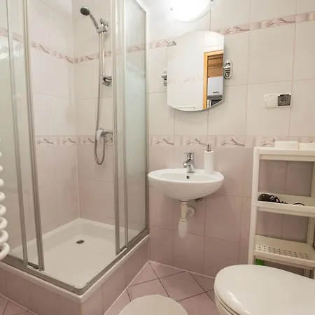 Regionalna 公寓 扎科帕内