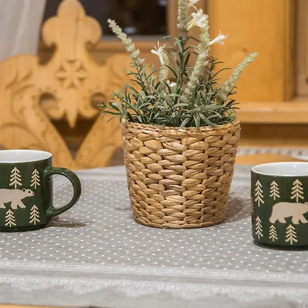 Apartment Regionalna Zakopane