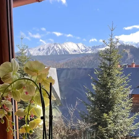 Regionalna Zakopane